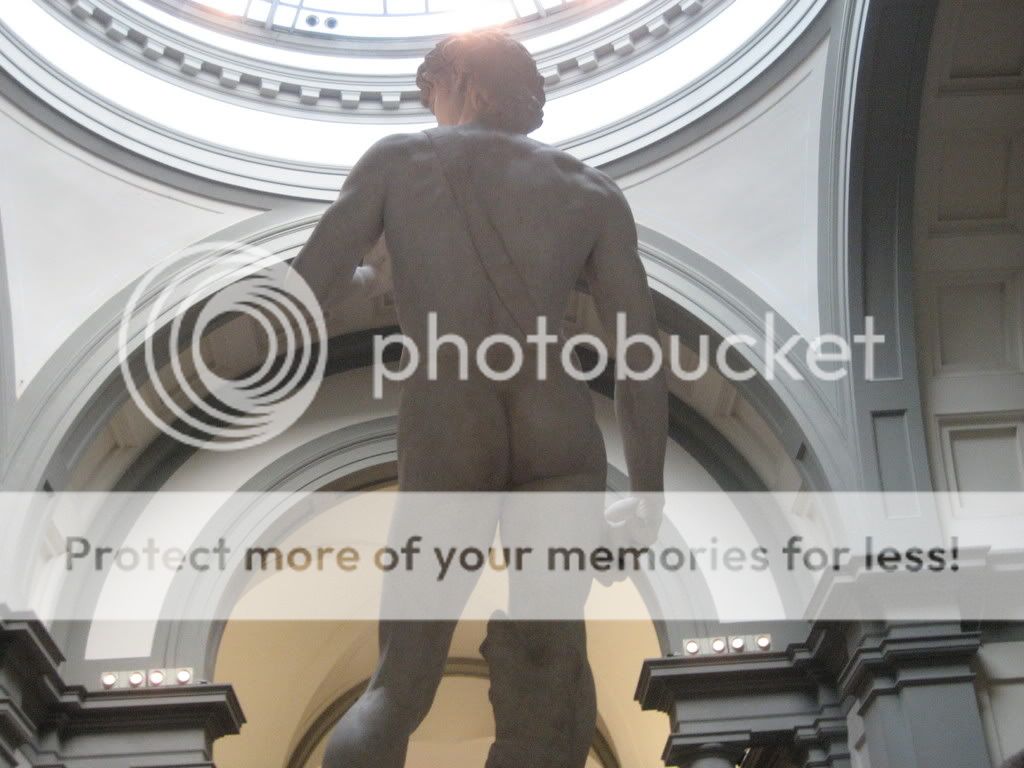 Michaelangelo's Statue Of David From Behind...his Buns Were Rock Hard
